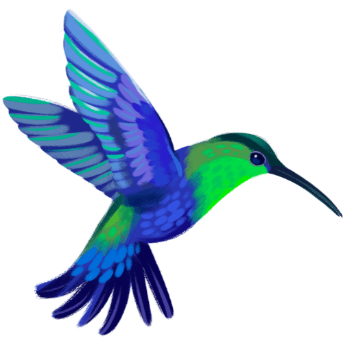 HumCash logo